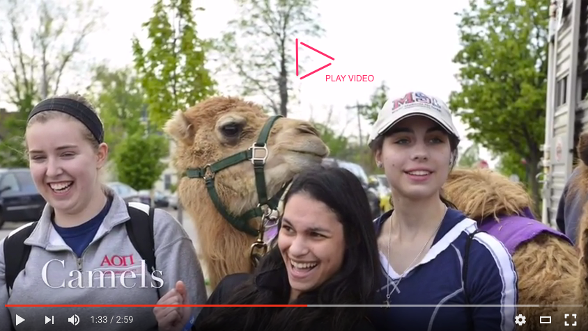 You, through the Jewish Federation of Cincinnati, invest in Hillel at Miami University.  Enjoy the video—were you there?